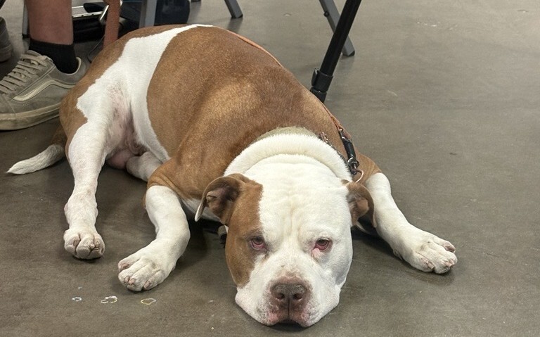 Max